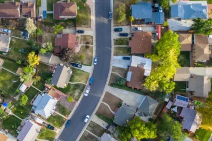 Aerial view of a tree-lined neighborhood