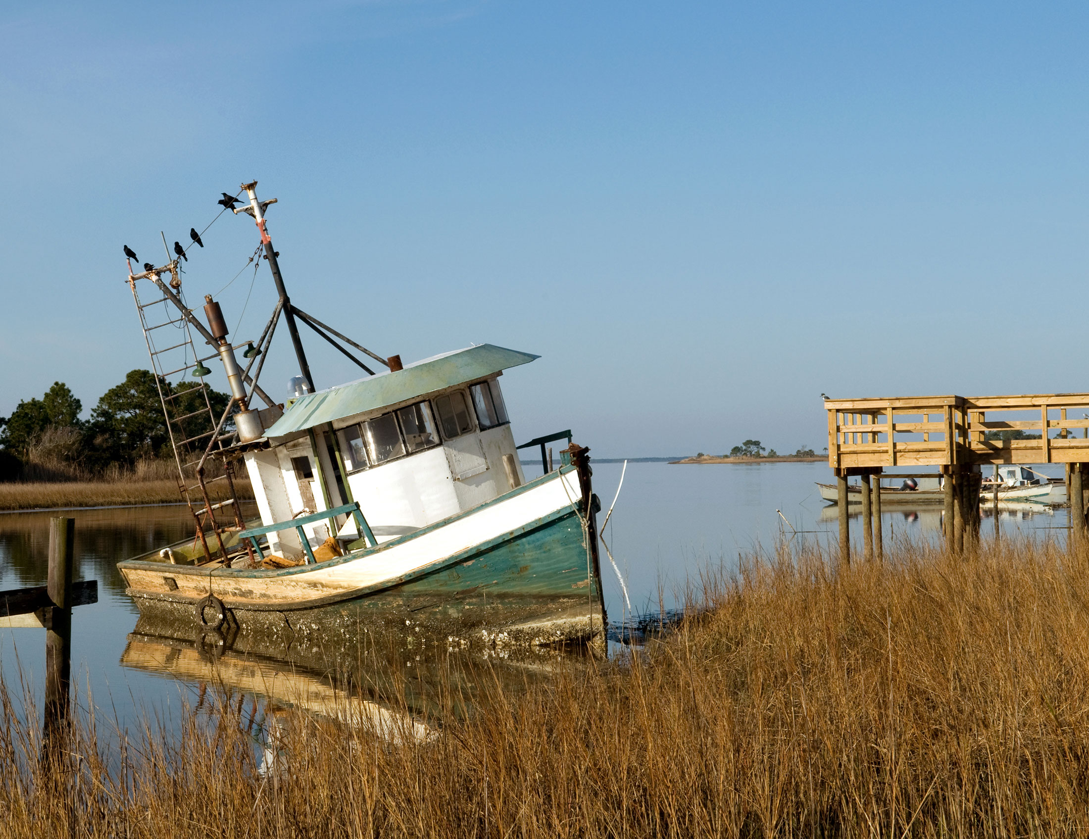 Apalachicola real estate