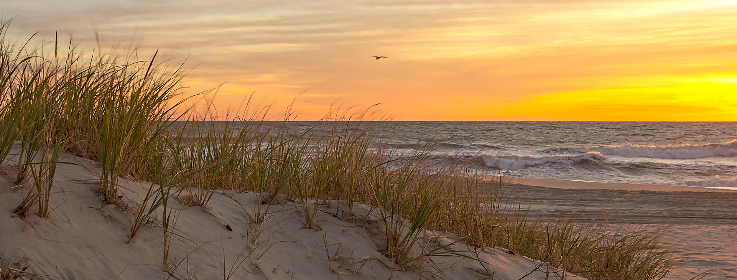 NJ Shore Real Estate