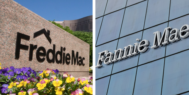 CAMPBELL WELLMAN FANNIE MAE FREDDIE MAC IPO MORTGAGE NEWS