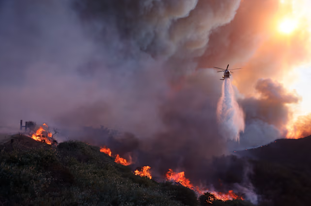 CAMPBELL WELLMAN PROPERTIES PACIFIC PALISADES WILDFIRES 2025
