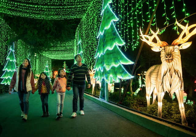 Campbell Wellman LA Zoo Lights