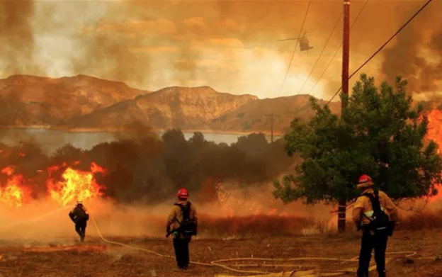 Campbell Wellman Mountain Fire