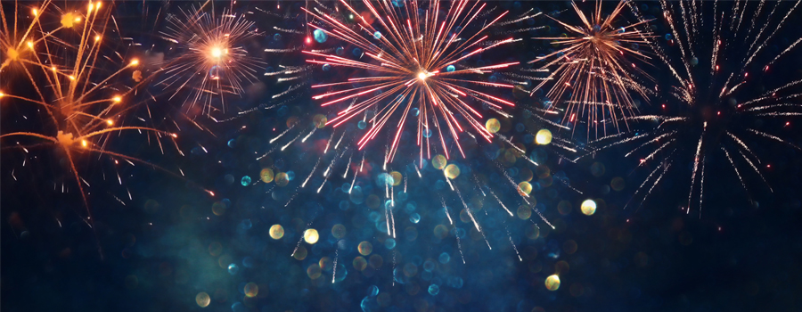 The Lifestyle In The Berryessa Neighborhood - Celebration