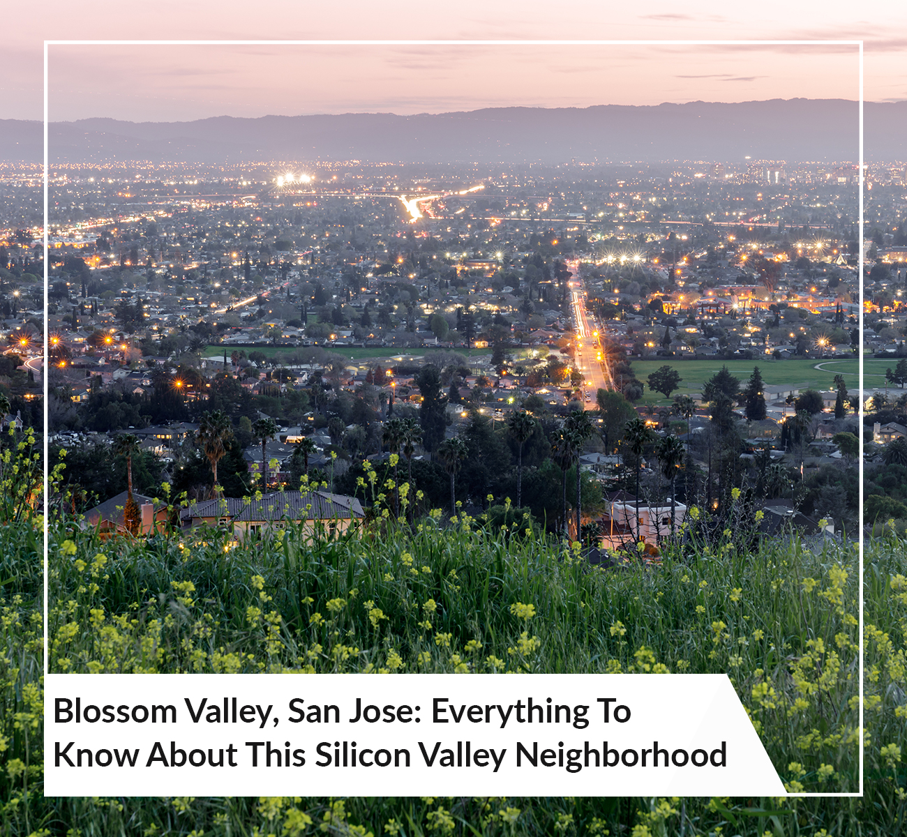 Everything To Know About Blossom Valley, San Jose