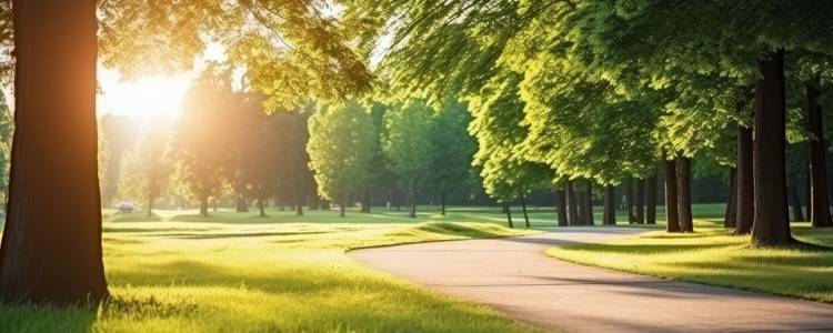 Explore Great Hiking Trails In San Jose, CA Golf Communities