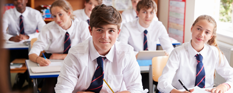 Students Learning at a Private School