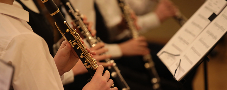 School Band At Schools In Silver Creek Valley, San Jose - Best Schools in Silver Creek Valley, San Jose