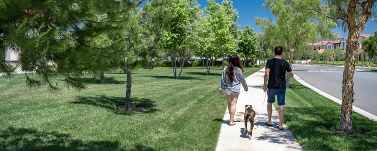 Enjoy Walking the Neighborhood in Sunnyvale West | Best Neighborhoods to Live in Sunnyvale CA