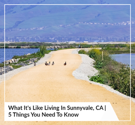 What It's Like Living In Sunnyvale, CA | 5 Things You Need To Know