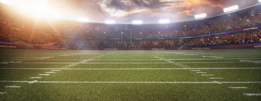 The Amazing Nearby Amenities - Football Stadium