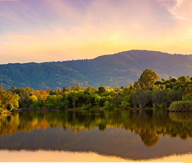 Rinconada Hills, Los Gatos: 6 Things To Know About This Luxury Gated Community