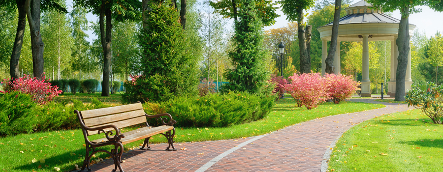 Castro City - Park