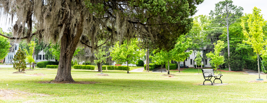 Woodland Acres - Trees On Property