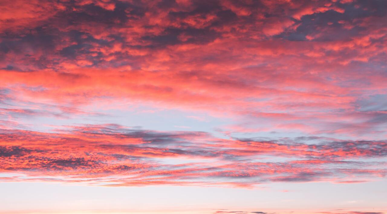 Top 5 things Nanaimo