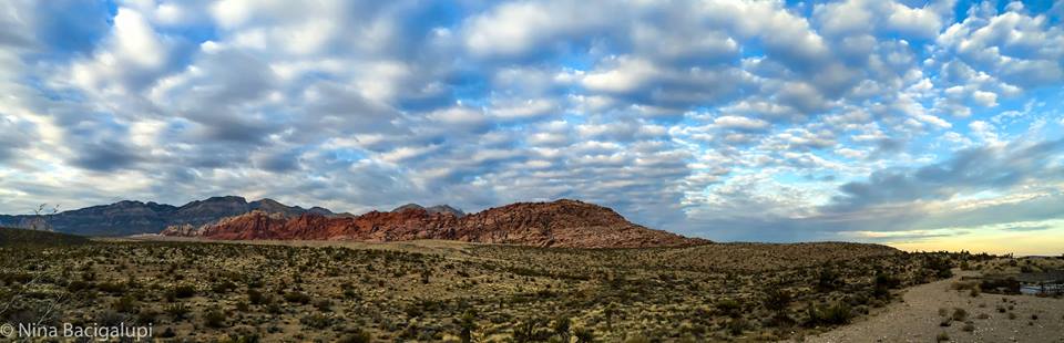 Summerlin Real Estate