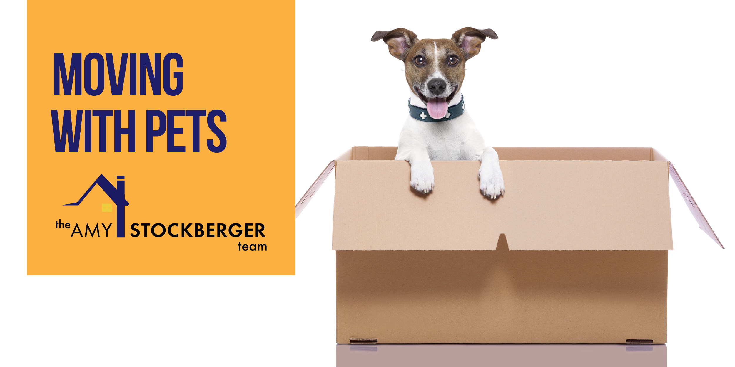Moving Pets To Usa – Pet Travel from the United States to Netherlands ...