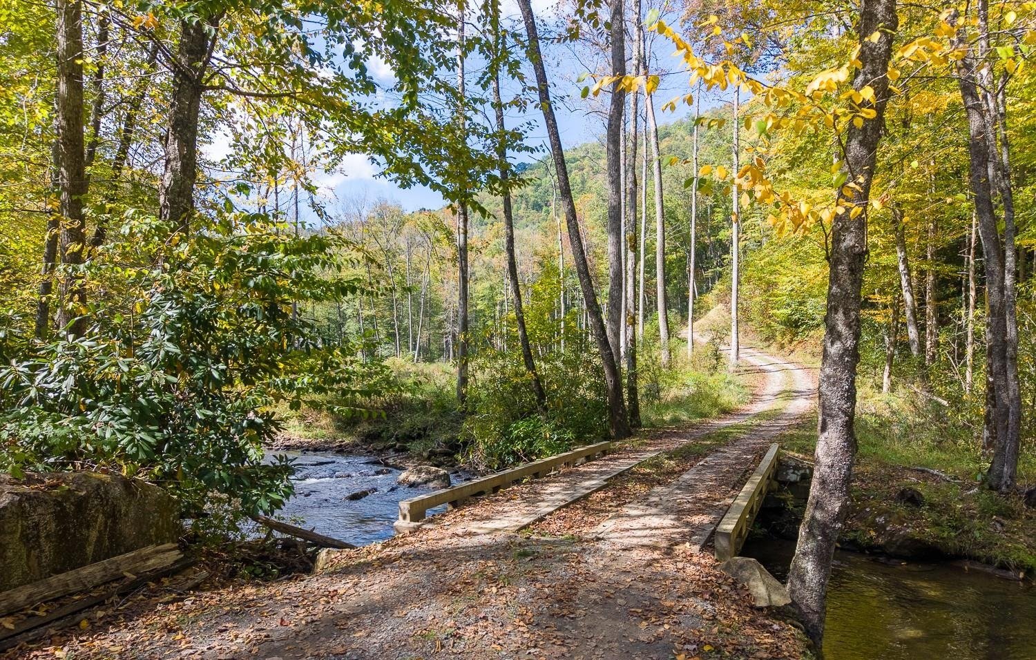 Gravel road crossing a wooden bridge over Little Snowbird Creek through fall hardwoods and rhododendron at 00 Little Snowbird Road near Robbinsville, NC