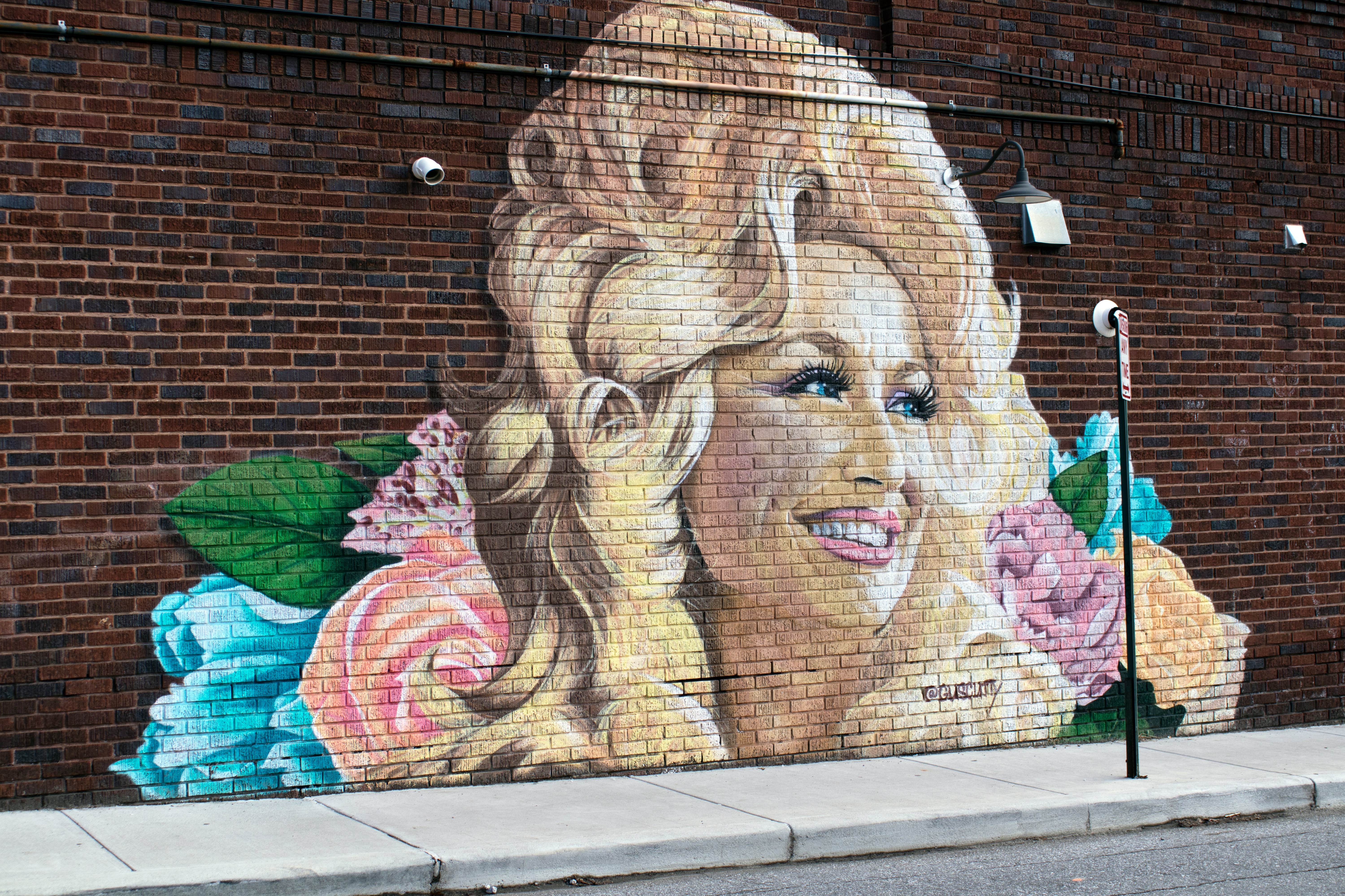 Asheville's Pack Memorial Library Is Now Part of a 100-County Mural Trail Across NC
