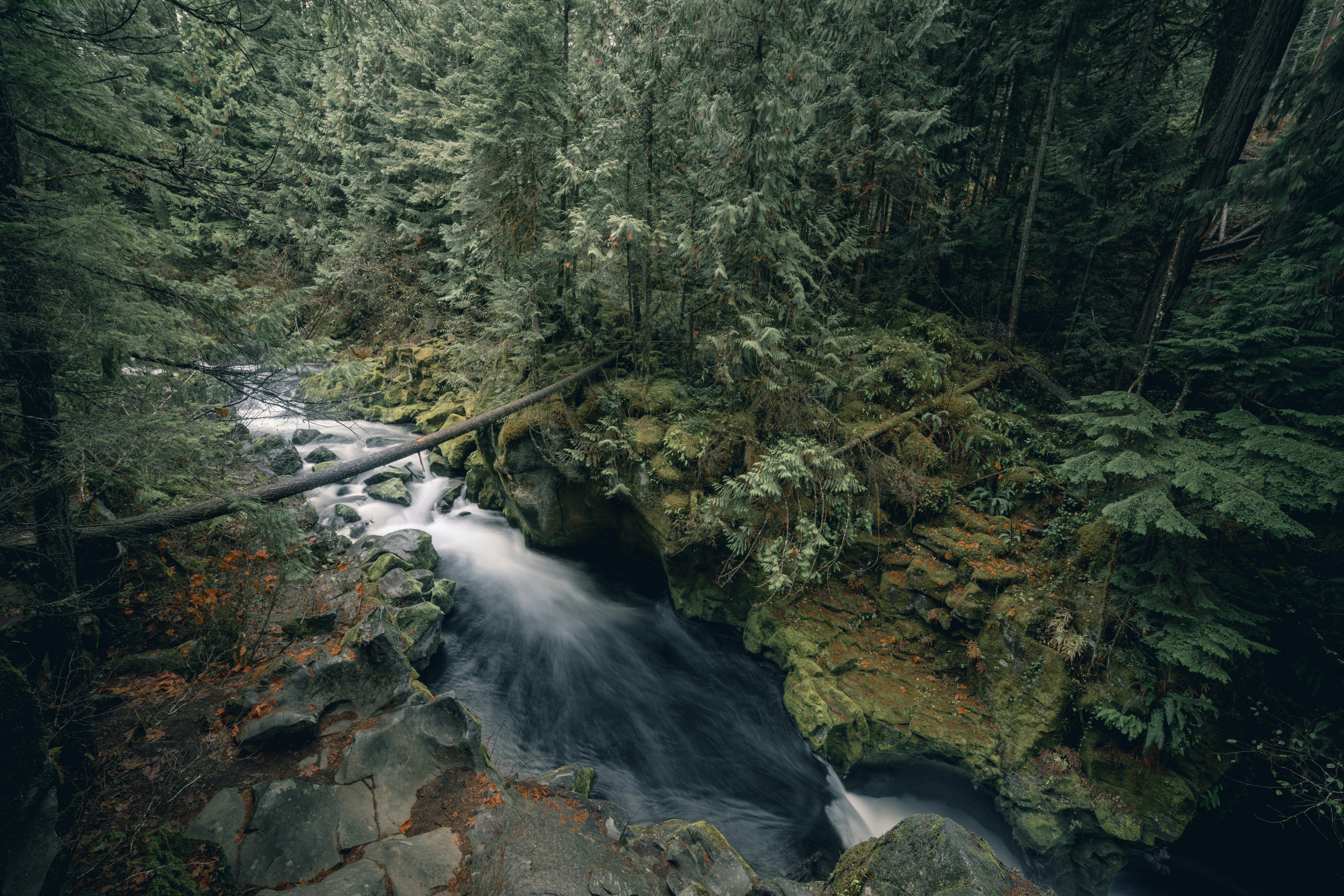 The Waterfall on the NC Side of the Smokies That Most Tourists Never Find