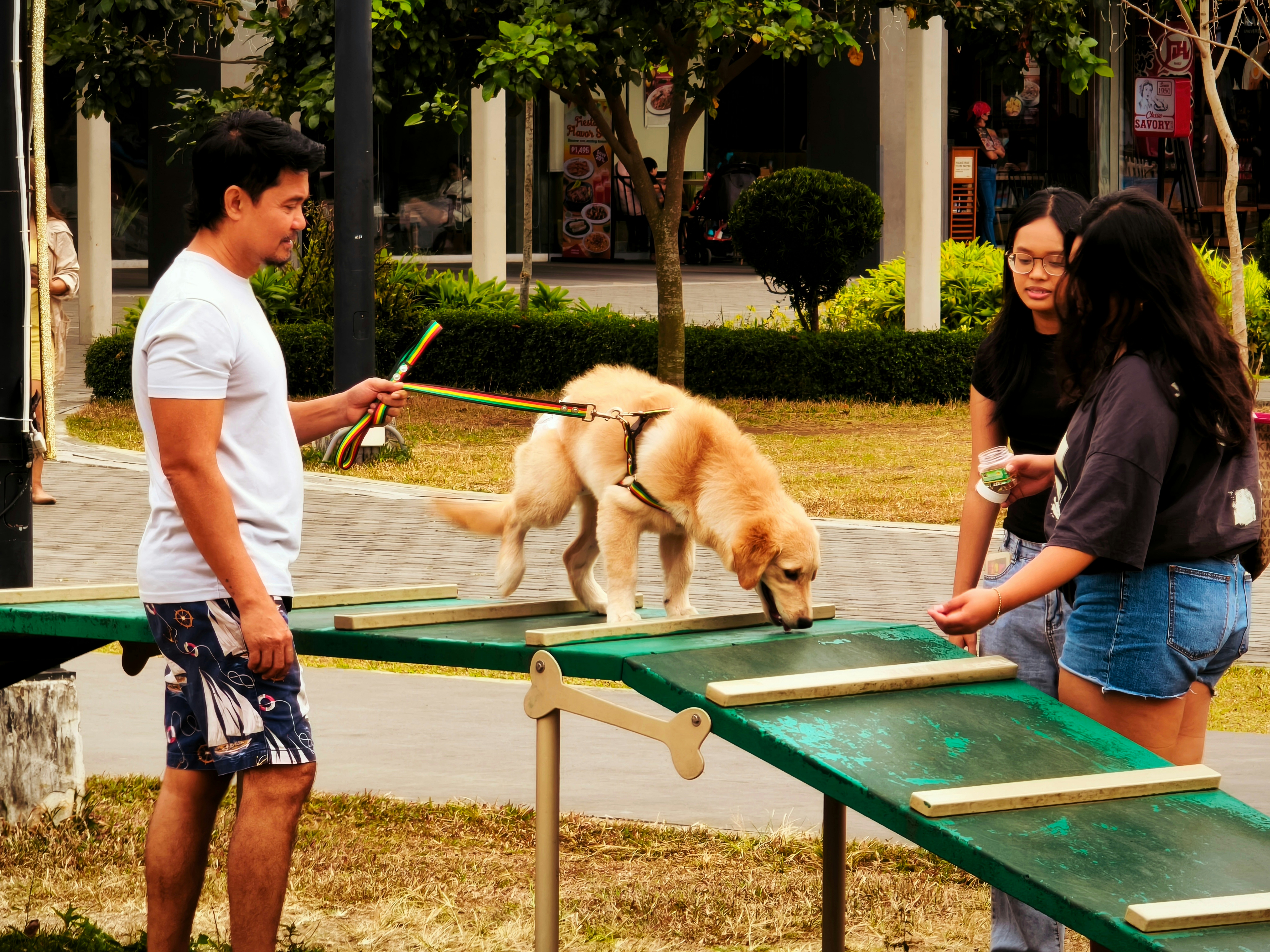 300 Dogs Take Over Fletcher This Weekend for a Free AKC Agility Trial