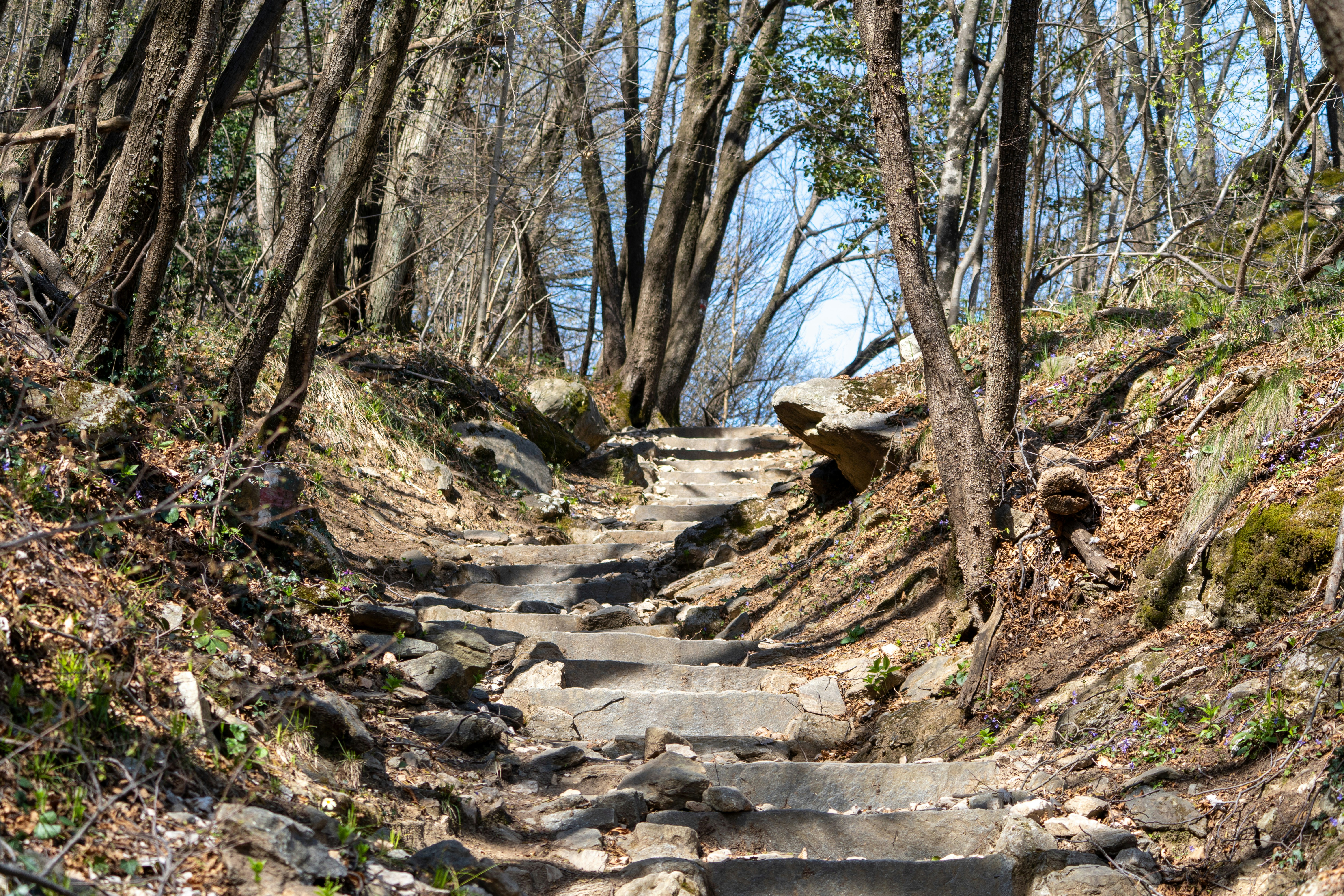 At 4,118 Feet, Spring in Highlands, NC Blooms on Its Own Schedule