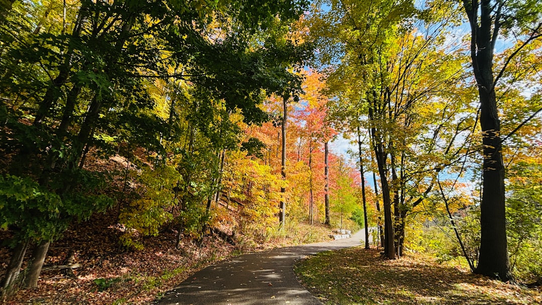 Blue Ridge Parkway Opens for 2026 Season — What's Open, What's Still Closed, and What to Expect