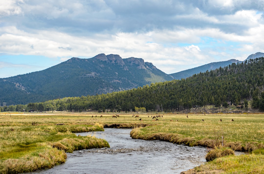 From Corporate Florida to Mountain Streams: How One Couple's Pivot Built North Carolina's Biggest Fly Fishing Festival