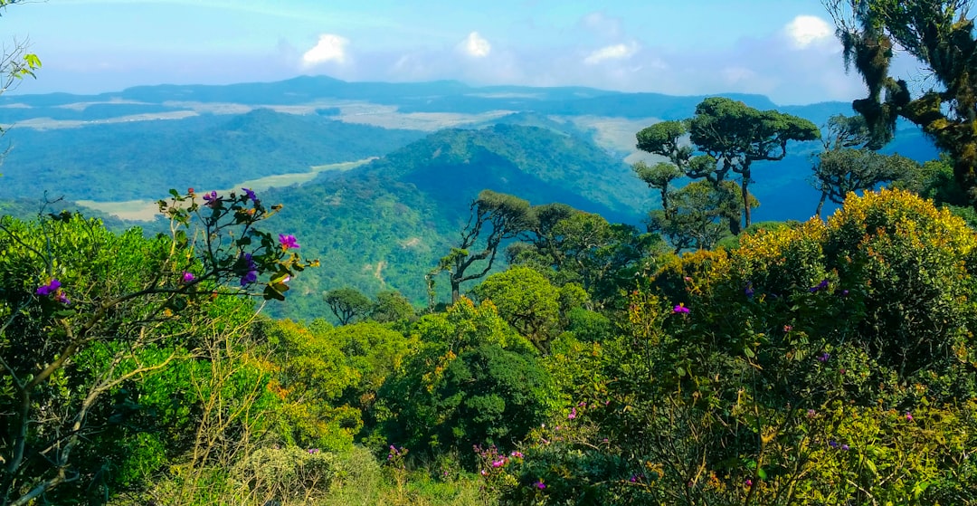 Nantahala Village Resort: The $10.25M Mountain Legacy Property Between Two National Forests