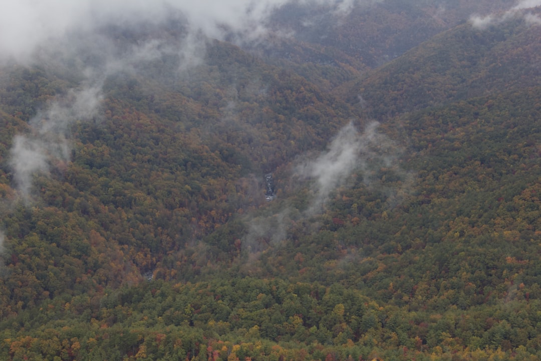Great Smoky Mountains ridgeline seen from the North Carolina side, morning mist in the valleys, fall foliage beginning