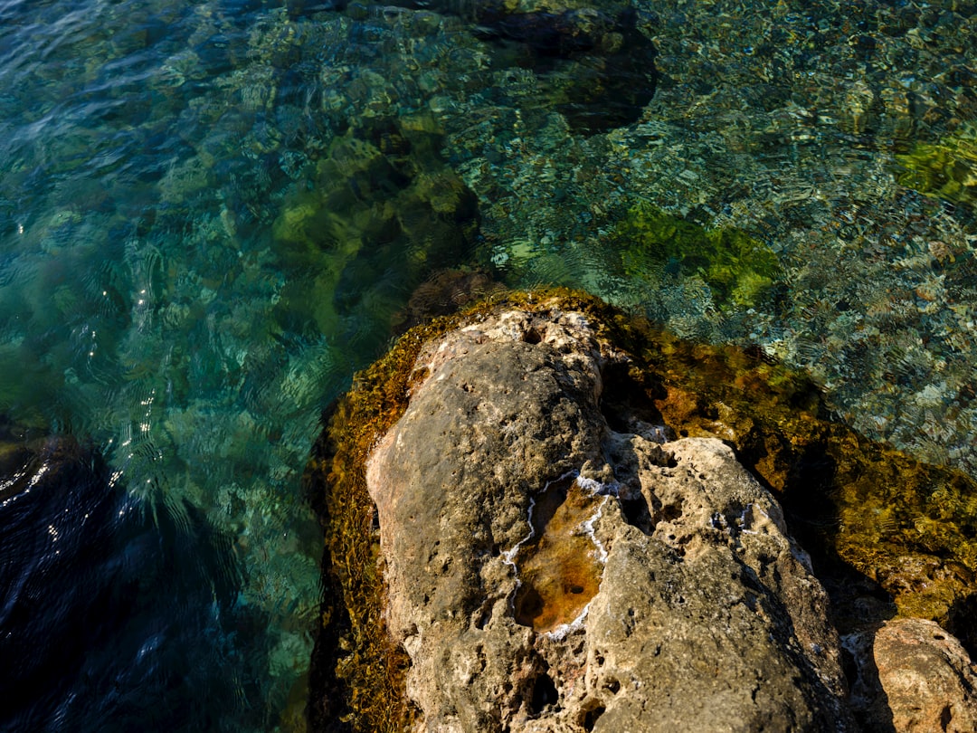 river snorkeling clear water outdoors