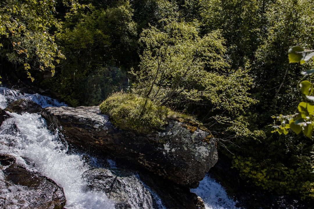 natural rock waterslide mountain stream summer swimmers