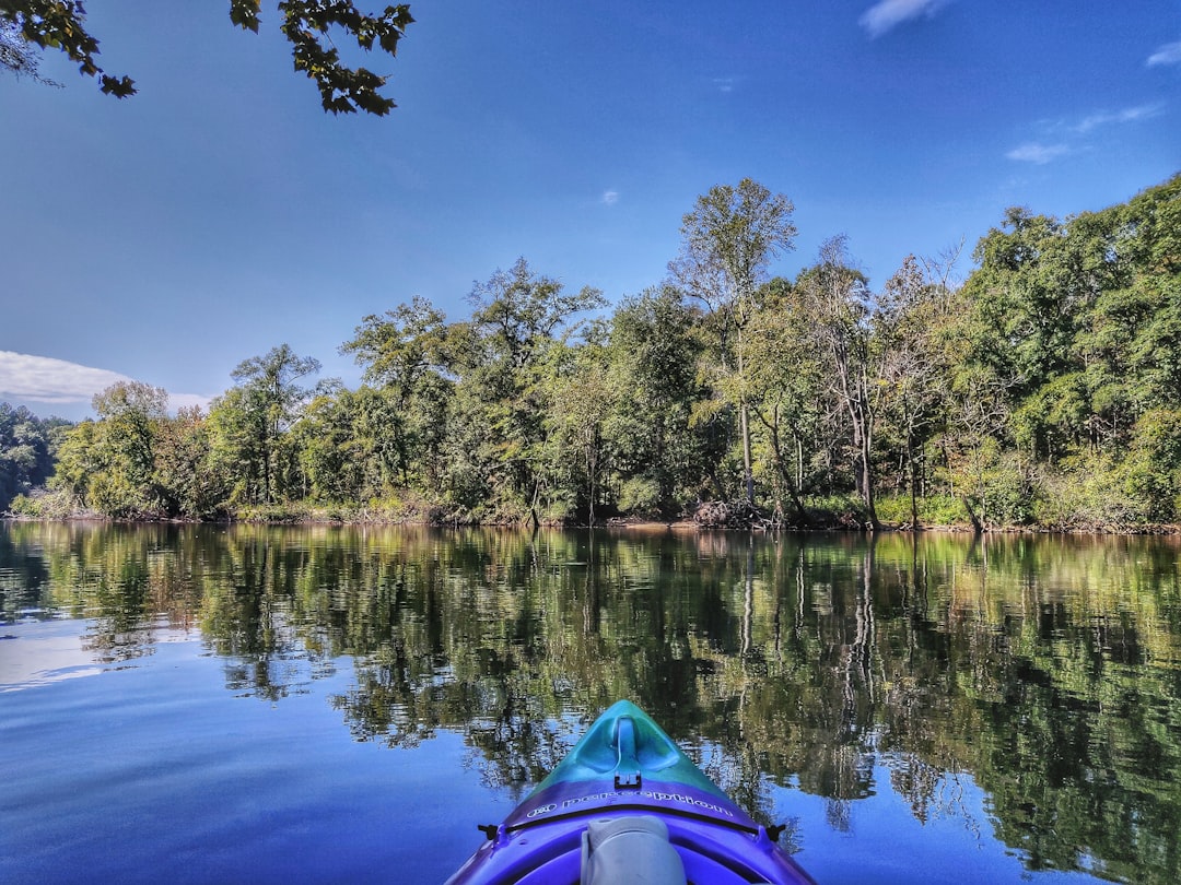 river kayak paddle WNC gorge mountain forest reflections