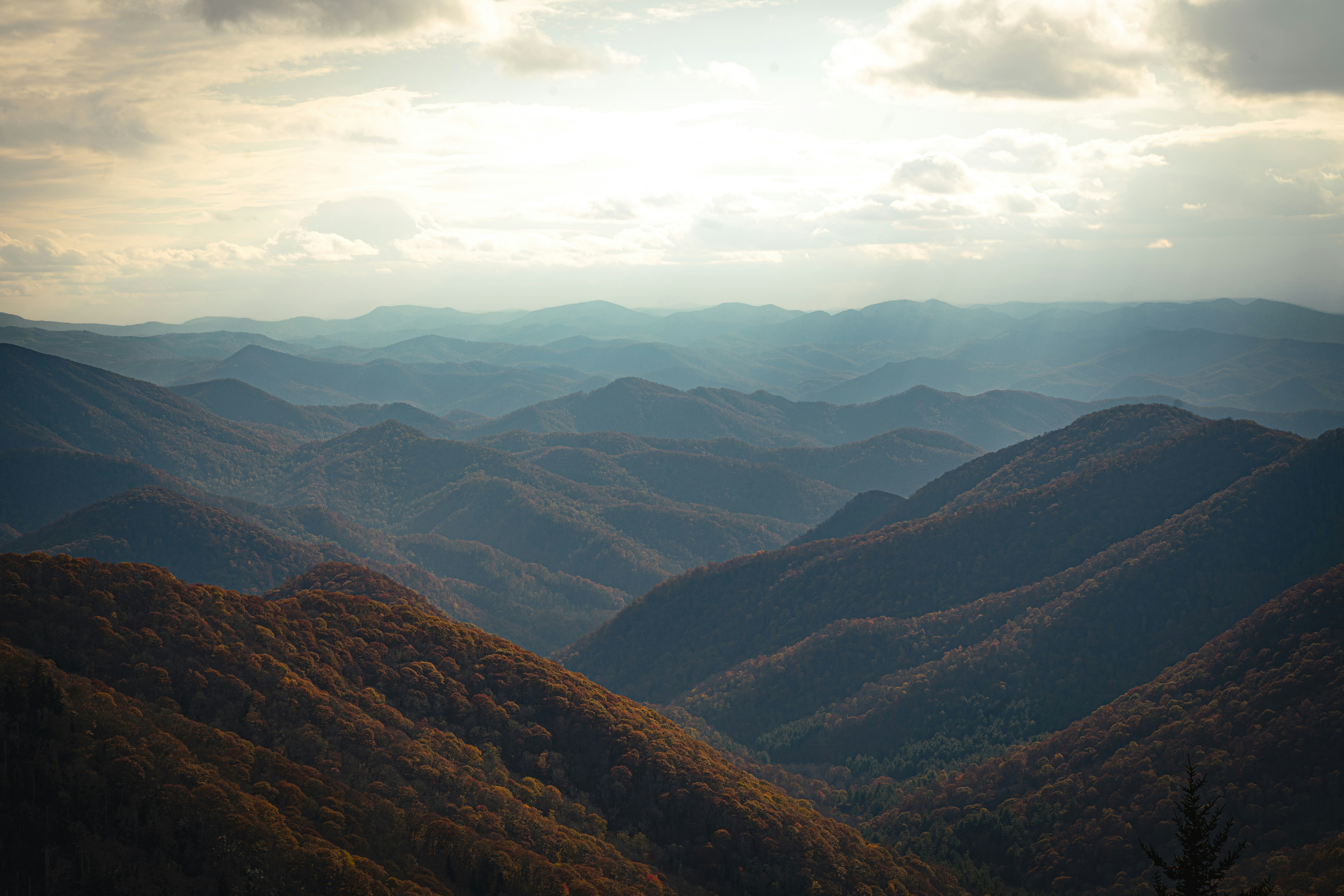 Downtown Asheville skyline rises beneath the Blue Ridge Mountains in Buncombe County, North Carolina.