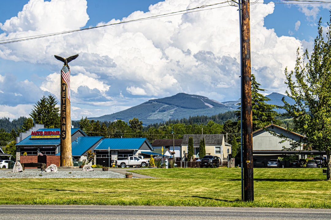 mountain town electric utility infrastructure