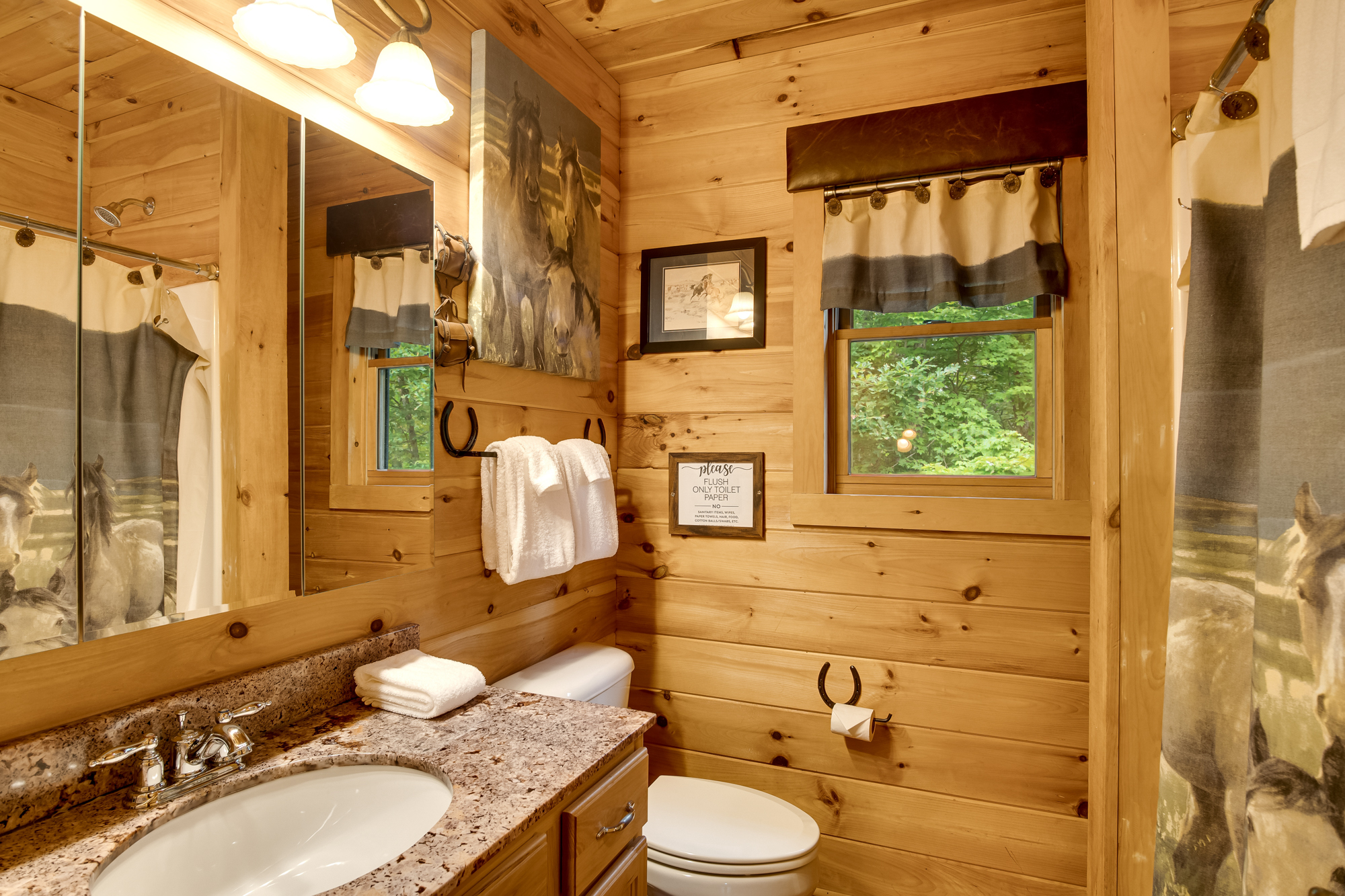 110 Crescent Creek Drive, Sylva, NC 28779