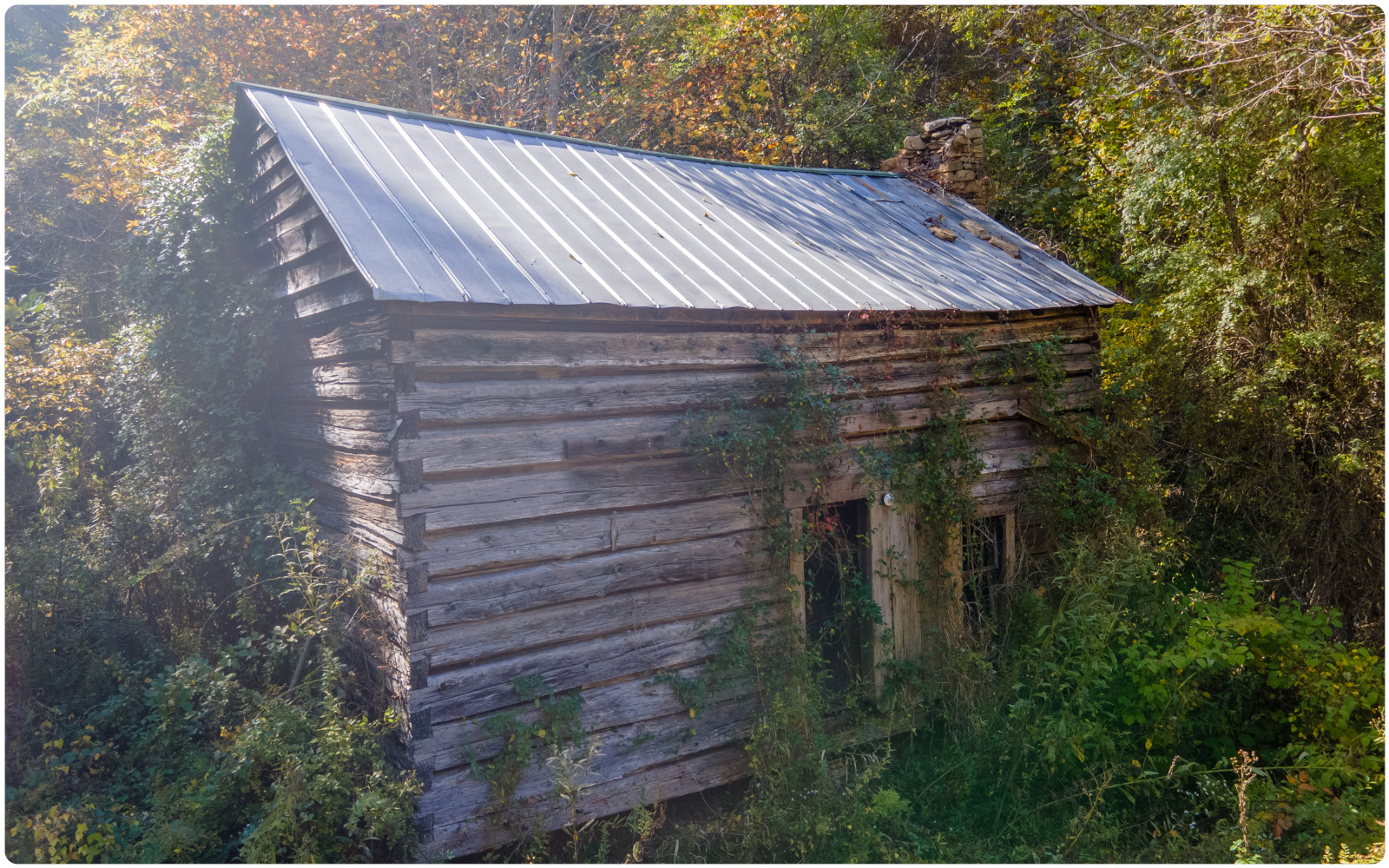 Image 15