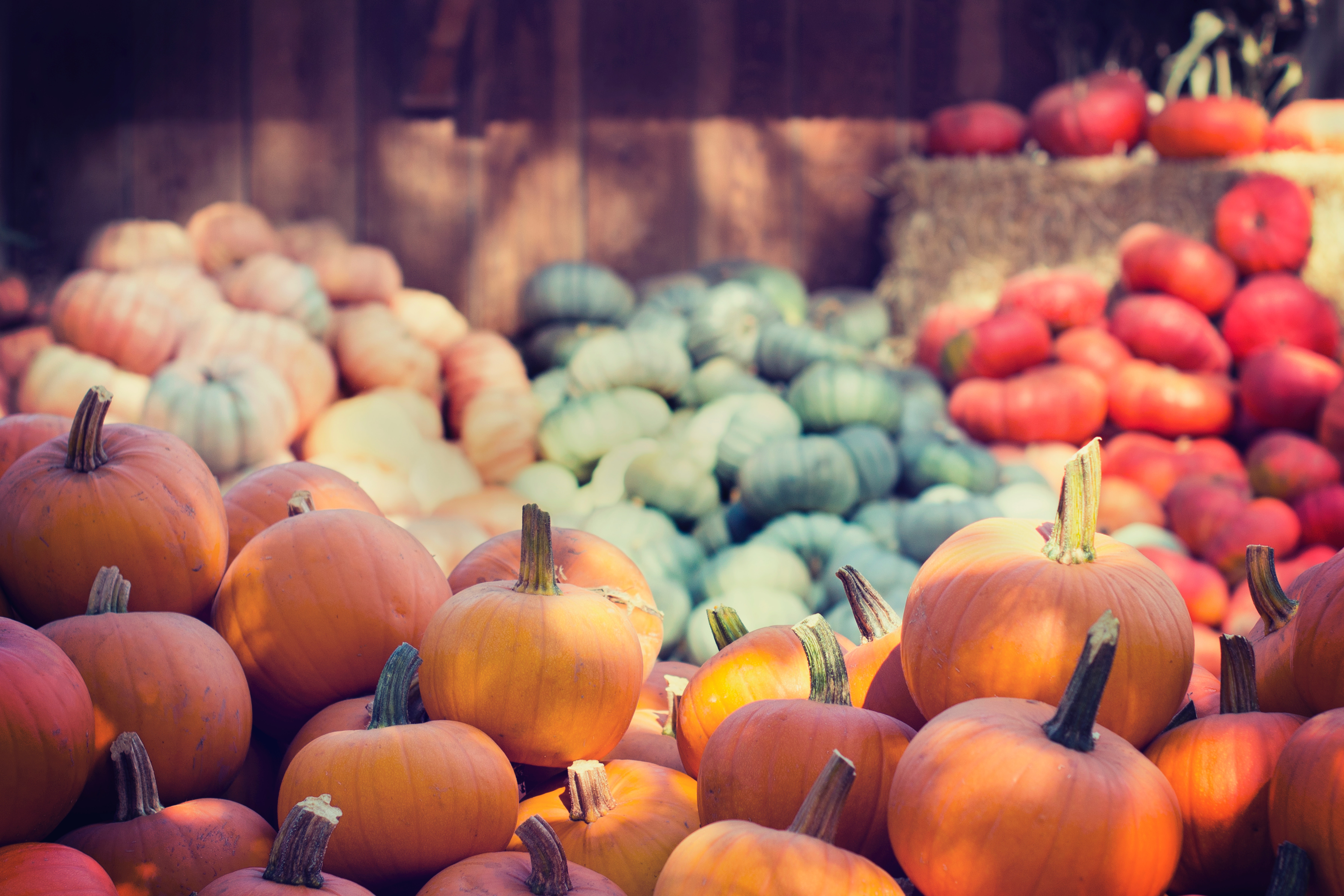 Charleston October 2019 Calendar Of Events Activities