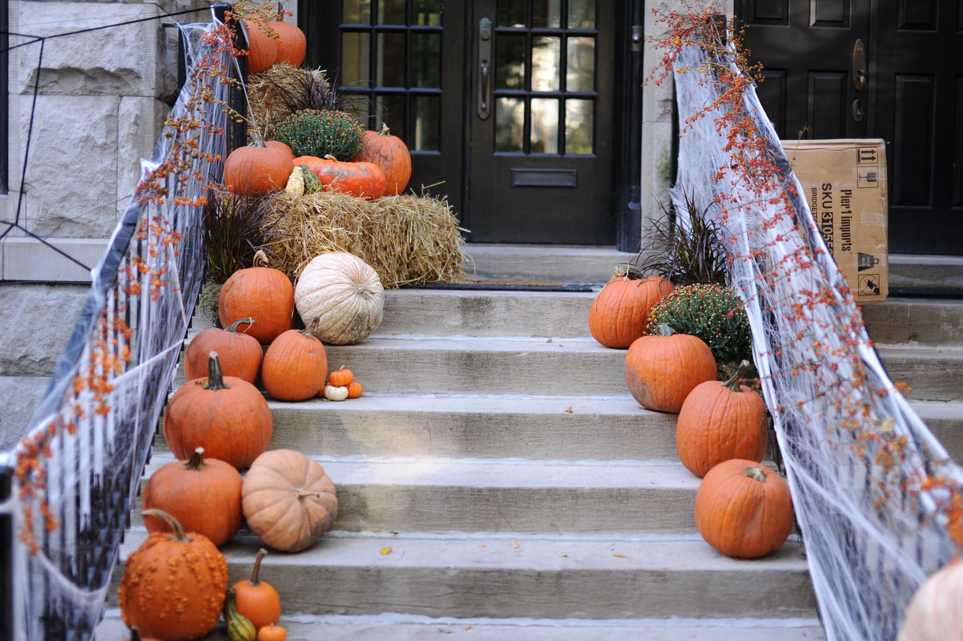 Charleston Festivals