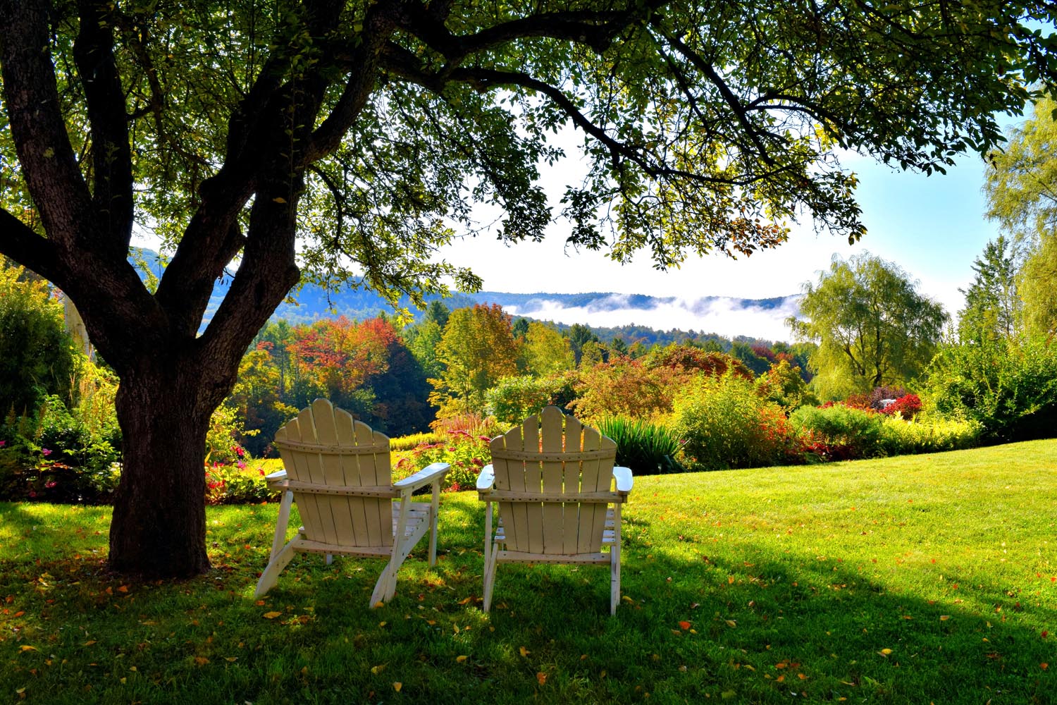 Georgia VT Homes for Sale