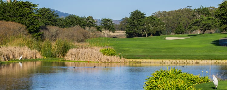 Golfing in Oakmont, Santa Rosa