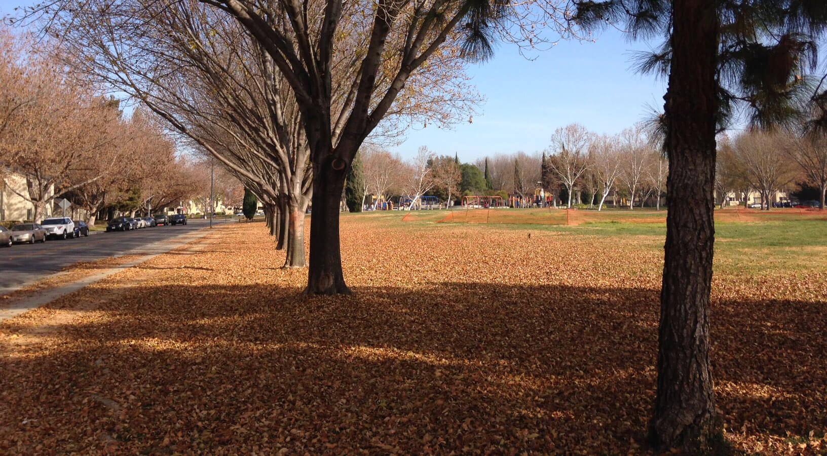 North San Jose Real Estate North San Jose Homes for Sale