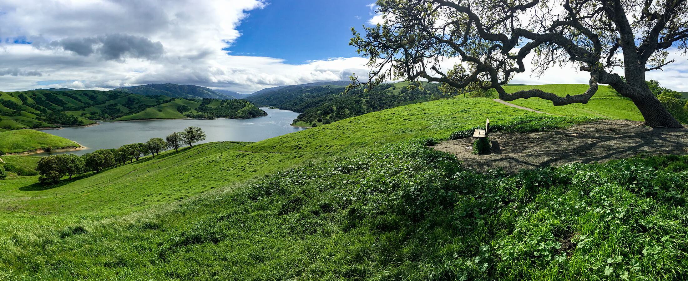 Pleasanton Real Estate Pleasanton Homes for Sale