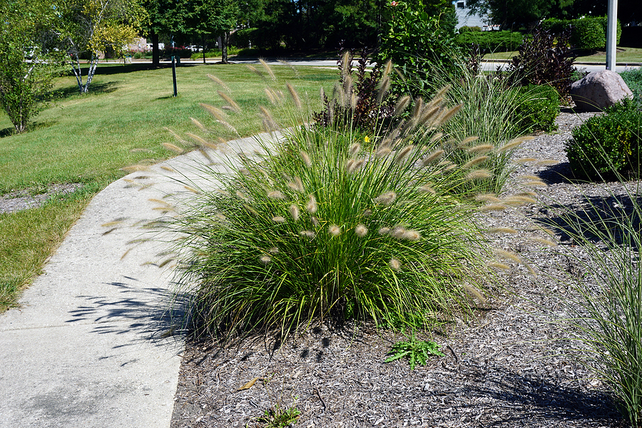 Smart Landscaping Tips to Follow to Help Sell Your Home by The Bigelow Group 505-688-5363 a