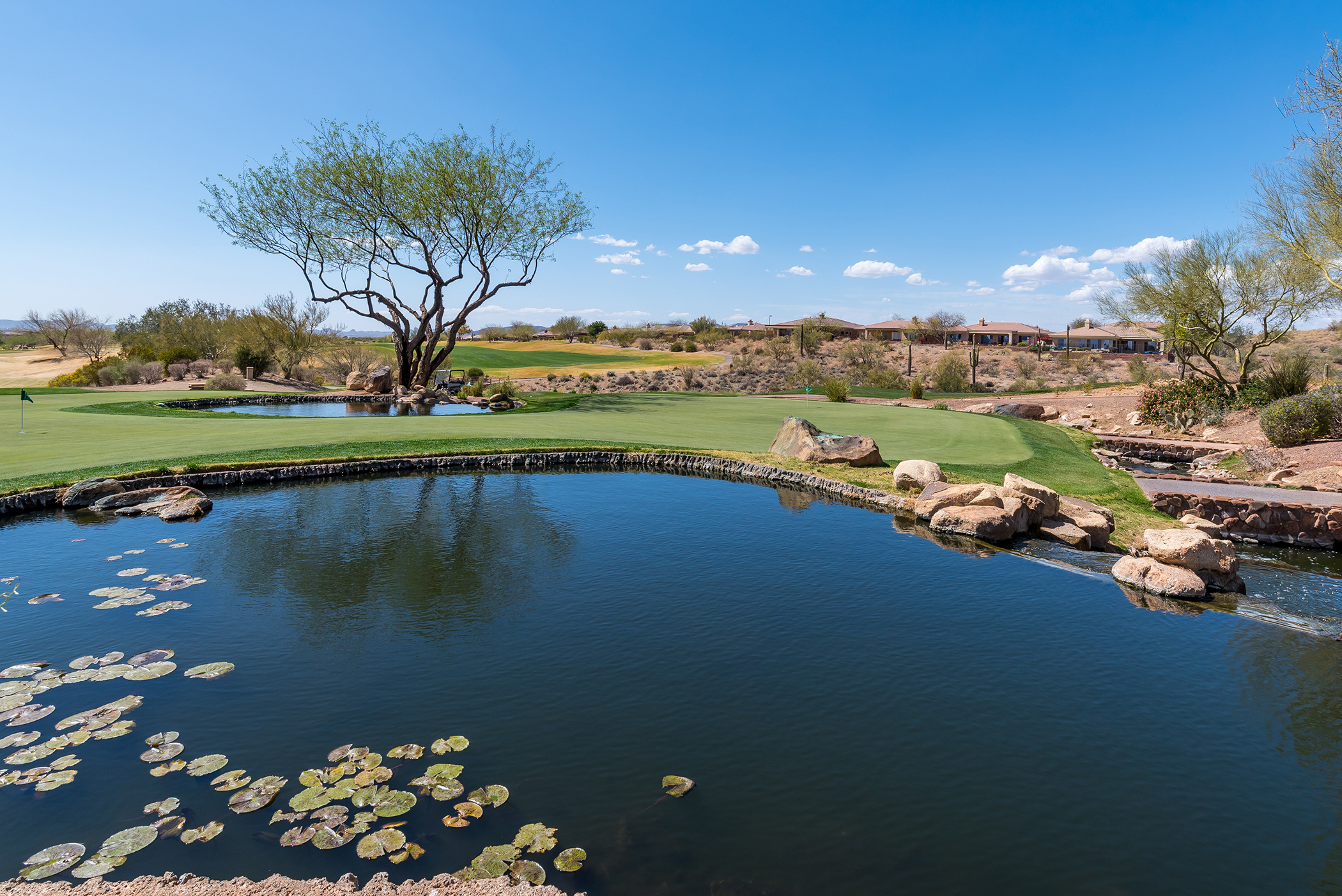 Anthem Homes For Sale