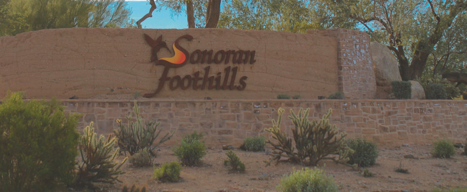 Sonoran Foothills Homes For Sale