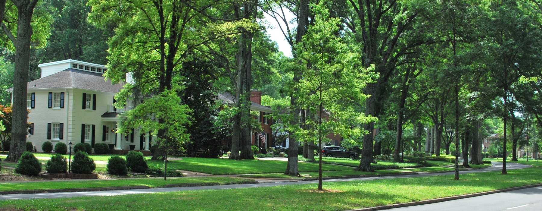 Myers Park Real Estate Myers Park Homes For Sale Myers Park MLS