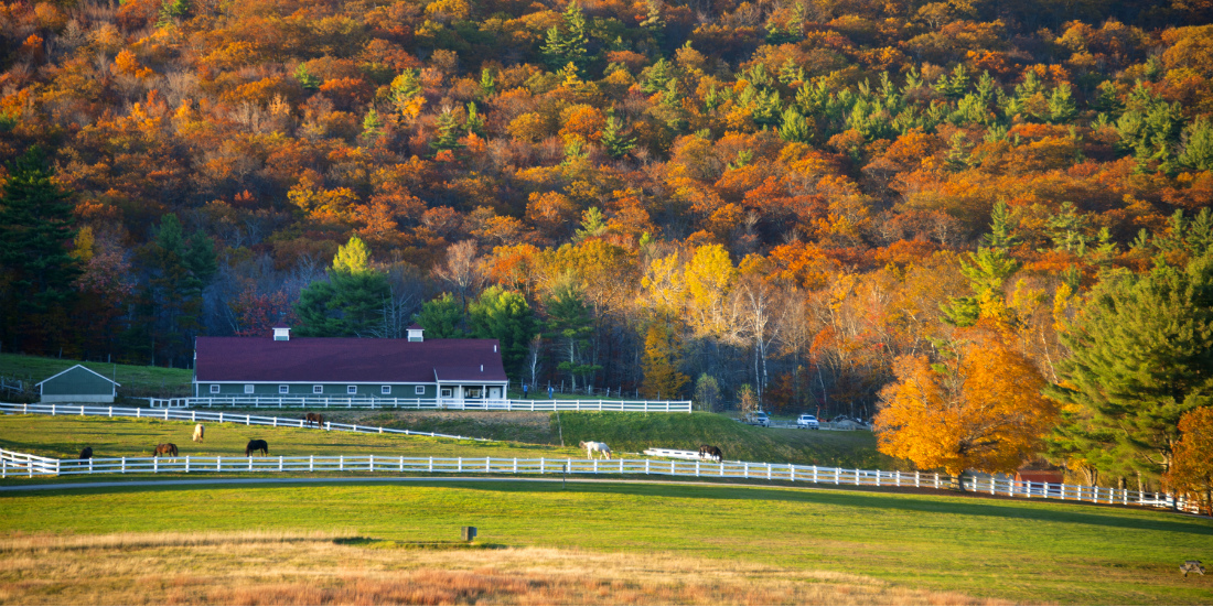 Homes for Sale in Freedom, New Hampshire. Available Now