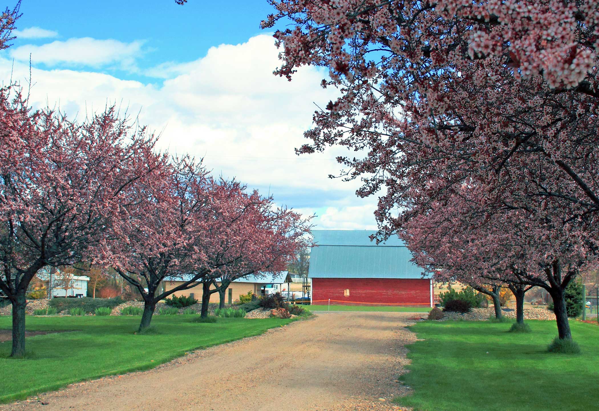 Greenleaf Idaho Real Estate