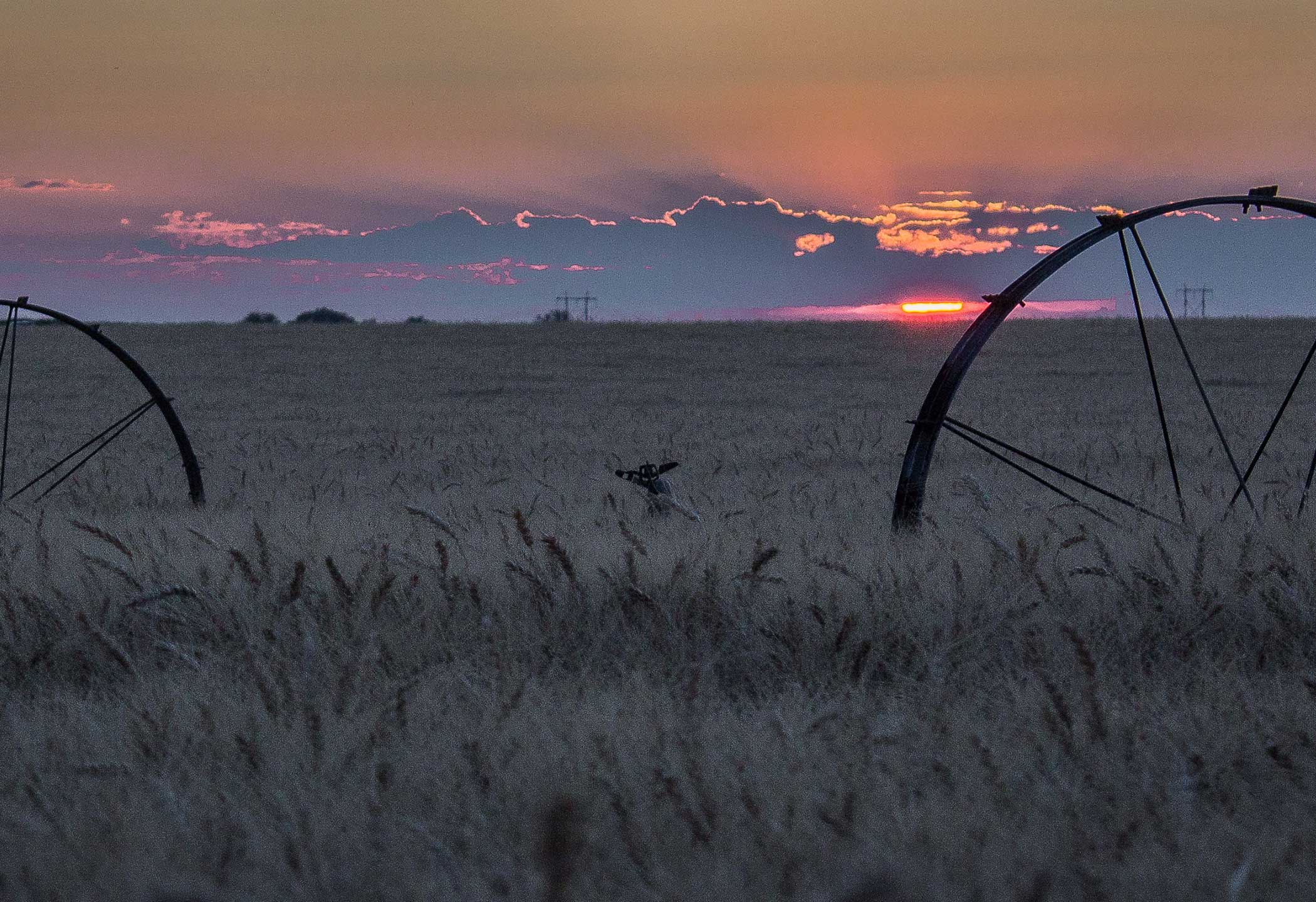 Middleton Idaho Real Estate